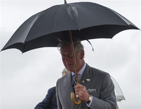 Report: Prince Charles compared Putin to Hitler - Washington Examiner