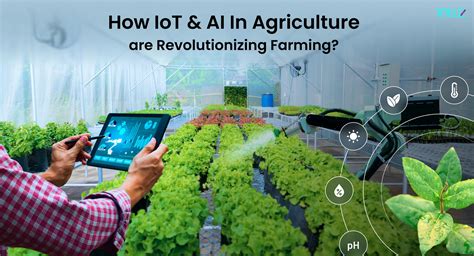 Ai And Iot In Agriculture Revolutionizing Smart Farming