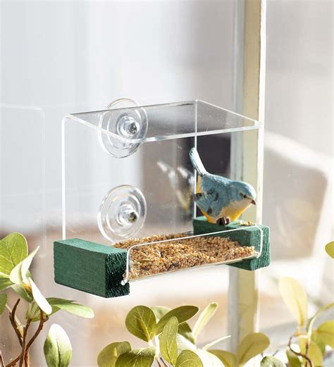 Mini Suction-Cup-Mount Clear Acrylic Window Bird Feeder | Wind and Weather