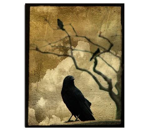 Corvus Crow Corvidae Fine Art Collage Raven Print by gothicrow | Fine ...