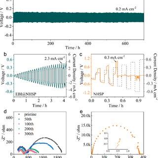 Electrochemical Performance Of Symmetric Cells With Ebi Nhsp And Pure