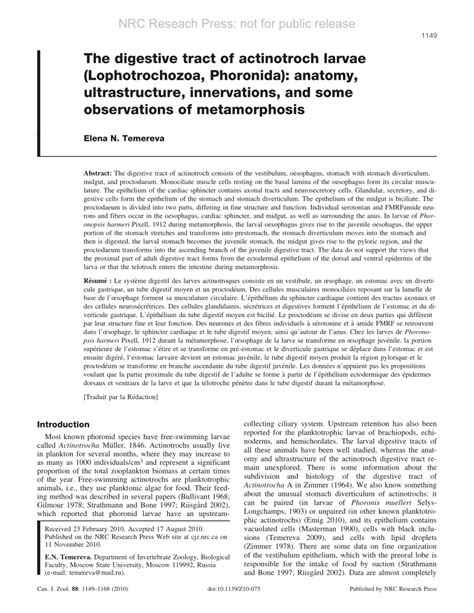 (PDF) The digestive tract of actinotroch larvae (Lophotrochozoa ...