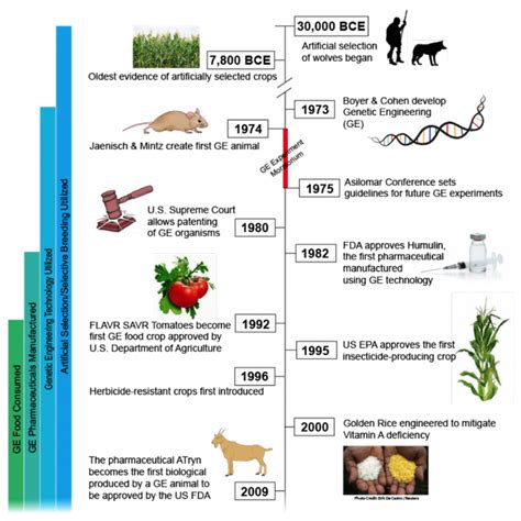 크롭라이프코리아 Croplife Korea 간단히 살펴본 Gmo기술의 긴 역사