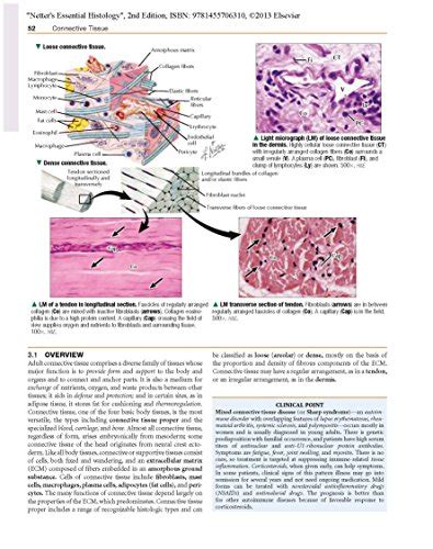 The 29 Histology To Read In February 2024 Cherry Picks