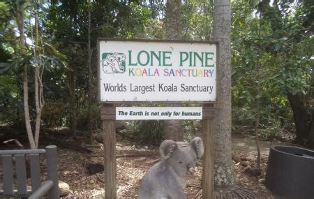 Lone Pine Koala Sanctuary, Brisbane | Ticket Price | Timings | Address ...