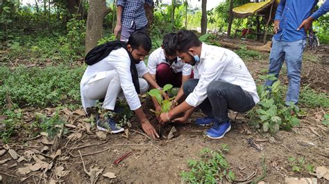 Plantation | Shine NGO