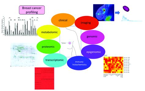 Integrative Approaches