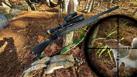 Savage Fv Sr Squirrel Hunt Scope Cam K Youtube