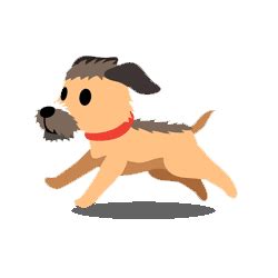 Training Your Border Terrier: The Ultimate Guide – Border Terrier Love