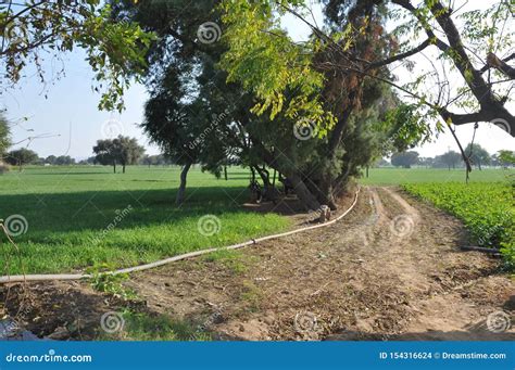 Best Indian Village Scenery Very Beautiful Stock Photo - Image of ...