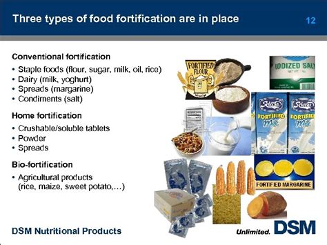 ILSI Conference on Micronutrient Fortification of Foods Science