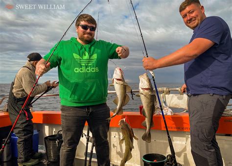 Cod And Ling On A Sunny Day Off The Tyne SWEET WILLIAM CHARTER BOAT