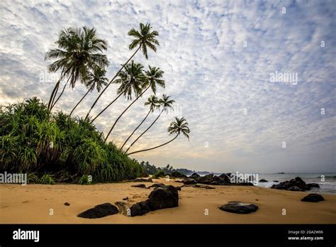 Kumu beach sri lanka hi-res stock photography and images - Alamy