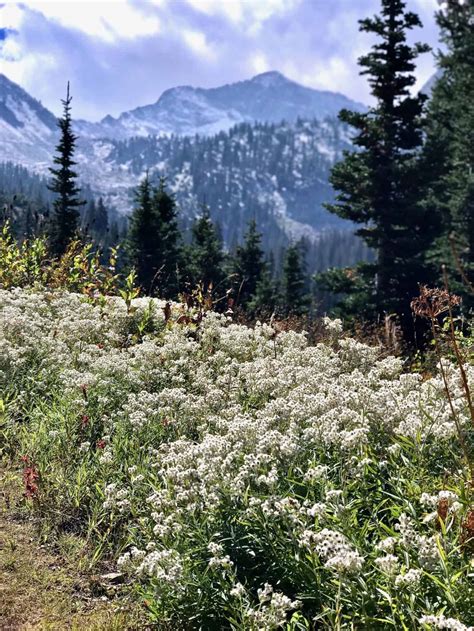 Salt Lake City Travel Guide - An Unblurred Lady