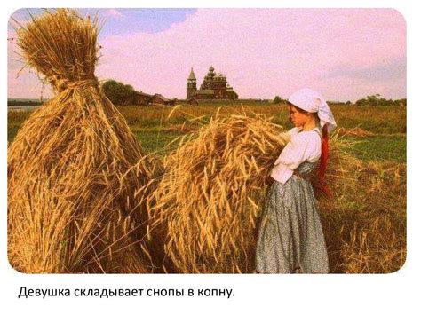 Орудия и сбруя - презентация онлайн