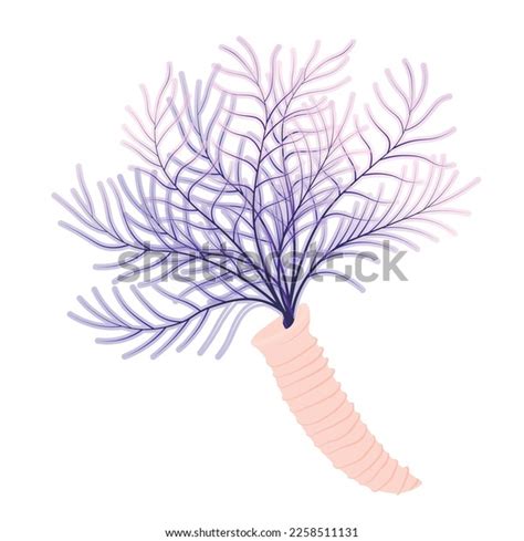 Ocean Tube Worms Over 68 Royalty Free Licensable Stock Illustrations