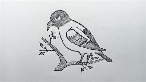 Simple Bird Drawing How To Draw A Bird With Pencil For Beginners