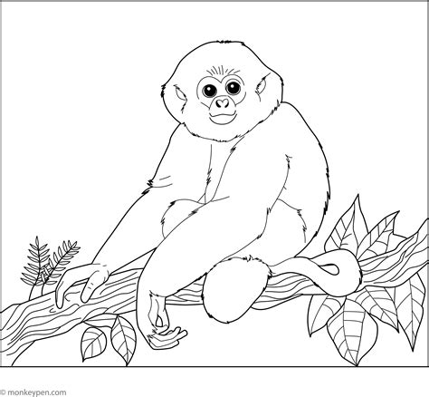Hainan Gibbon Coloring Page – Fun and Educational Printable for Kids