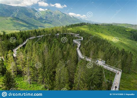 Treetopweg In Bachledova Dolina Tatra Bergen Slowakei Redaktionelles