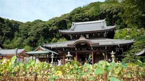 Mimuroto ji Le temple jardin des fleurs à Uji