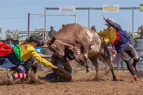 Rodeo Clown Cain Burns Takes Full Force Of 600kg Bull By Diving Under