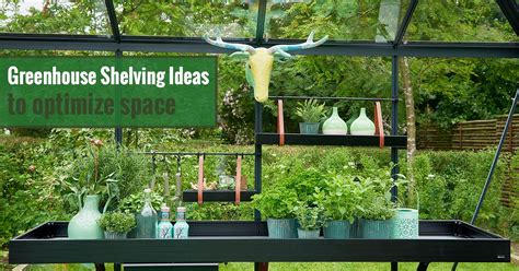 Greenhouse Shelving Ideas To Optimize Space | Greenhouse Emporium