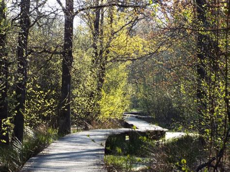 Wandelroute Ommetje Cranendonckse Bos Soerendonk Te Noord Brabant Artofit