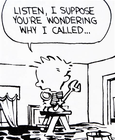 Calvin And Hobbes DE S CLASSIC PICK Of The Day 8 31 14 Listen I