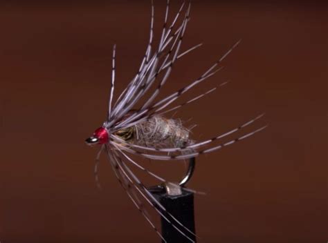 Video How To Tie The Holy Grail Caddis Emerger Orvis News Fly