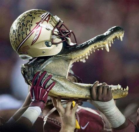 Nole Nation Fsu Football Florida State Football Noles Football