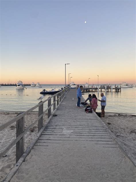 Rottnest Island Tours