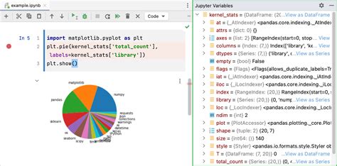 Run And Debug Jupyter Notebook Code Cells Dataspell Documentation