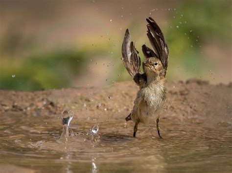 Najlepsze Zdj Cia Opublikowane Przez Magazyn National Geographic W