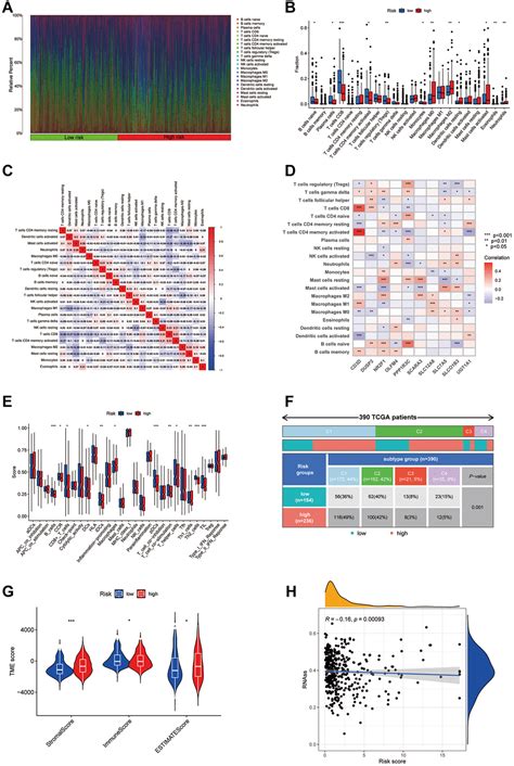 Comprehensive Analysis Of Scrna Seq And Bulk Rna Seq Reveal The