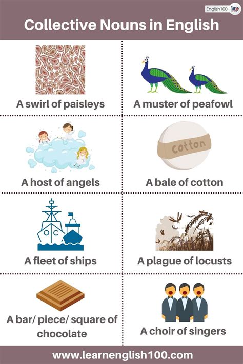 The Ultimate Guide To Collective Nouns In English Everything You Need To Know English 100