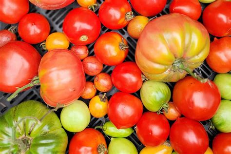 Winterton Farms Sullivan County Farmers Markets