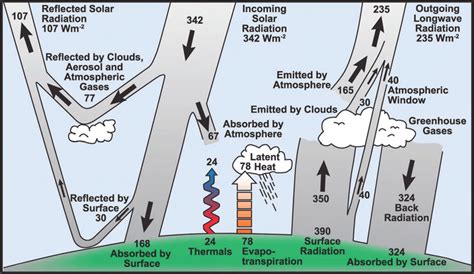 What is the albedo effect, and why it matters in the climate crisis