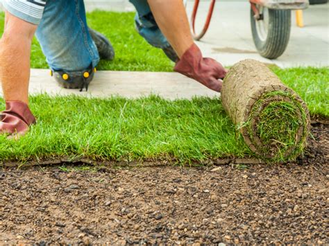 How To Lay Sod A Comprehensive Guide Green Guys Lawn Care