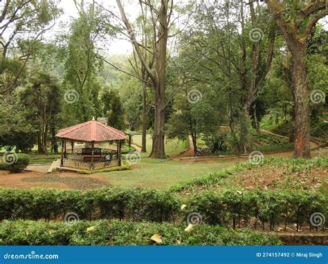 Ooty Coonoor Wayanad Mudumalai National Park Tiger Reserve Pykara