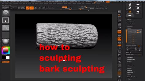 Zbrush Sculpting Tutorial For Beginners How To Sculpting Wood Bark