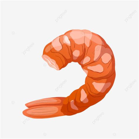 Gambar Udang Kupas Kartun Udang Mentah, Scampi, Udang, Tunggal PNG dan ...