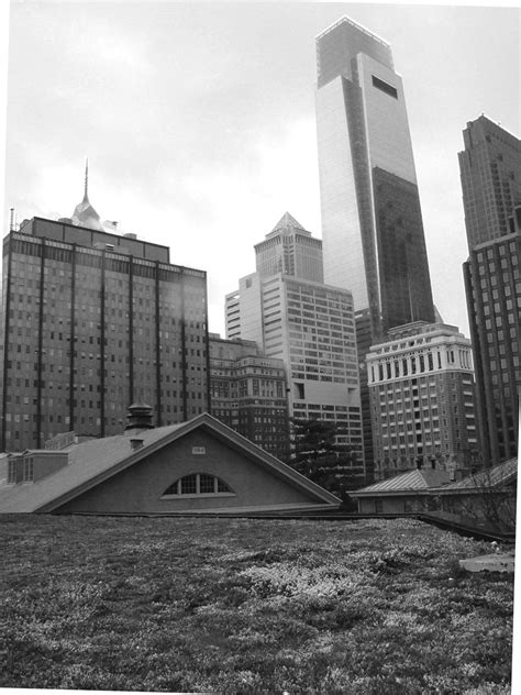 Quaker Testimony in Green Building - Friends Journal