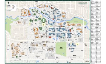 MSU Wayfinding