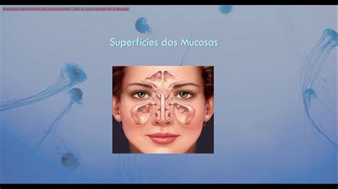 Mucosal Immune Tolerance At The Ocular Surface In Health And Disease Youtube