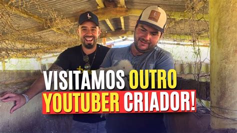 Visitamos Um Youtuber E Criador De Aves Ornamentais No Norte Do Paraná