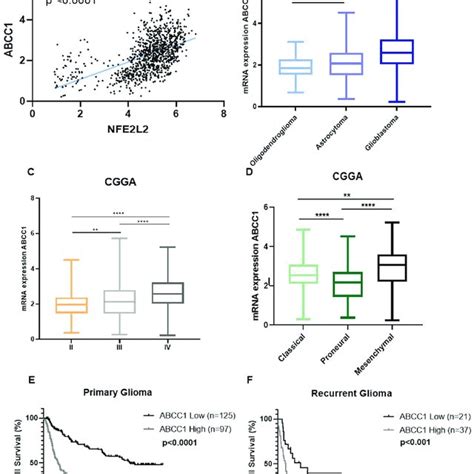 Gene Expression Analysis Of Glioma Patients A Correlation Between Nrf