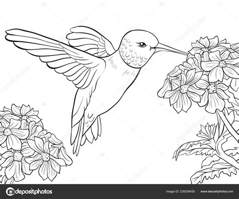 Em Geral 93 Imagen Como Dibujar Un Colibri Con Una Flor Alta