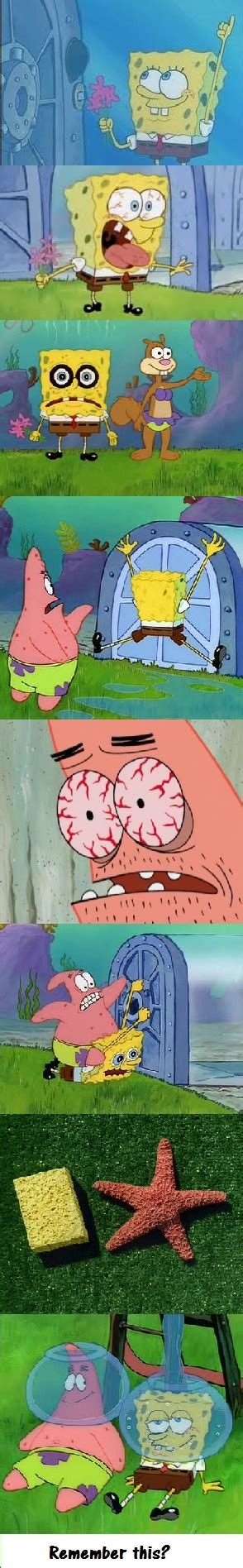 Tea At The Treedome Episode Of Spongebob Squarepants Spongebob