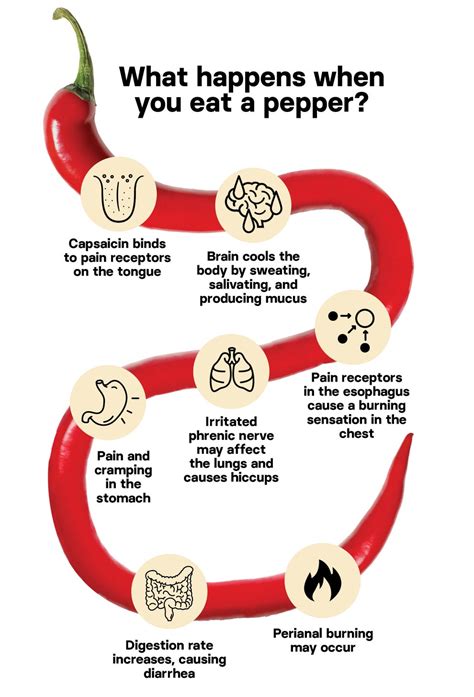 Heres What Happens To Your Body When You Eat Super Hot Peppers