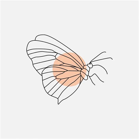 minimalist butterfly tattoo 4